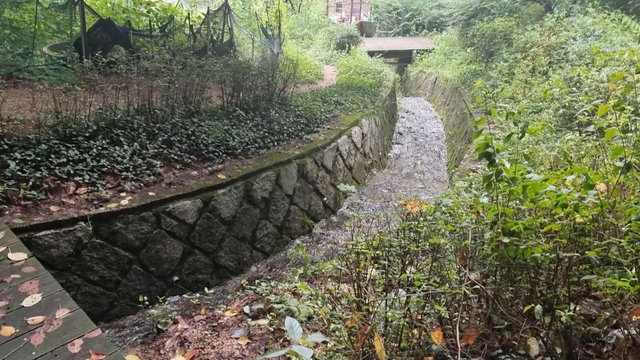 Villa Urban Forest House Seoul