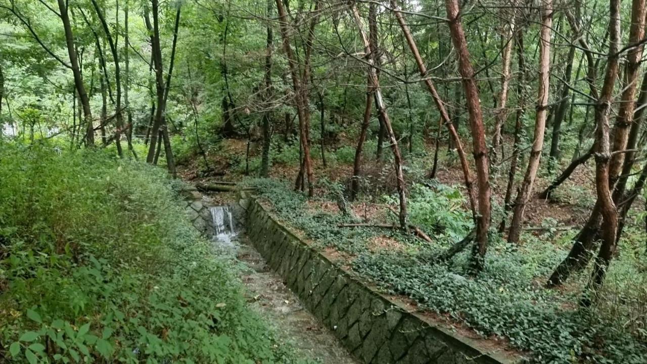 Urban Forest House Villa Seoul
